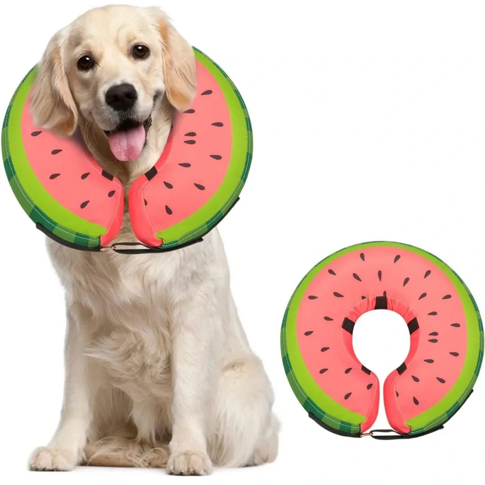 Dog Cone Collar